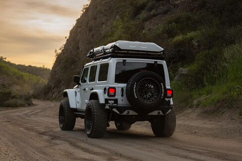 Delinte dx12 LT33/12.50R22 123R bsw all-season tire in Saudi Arabia