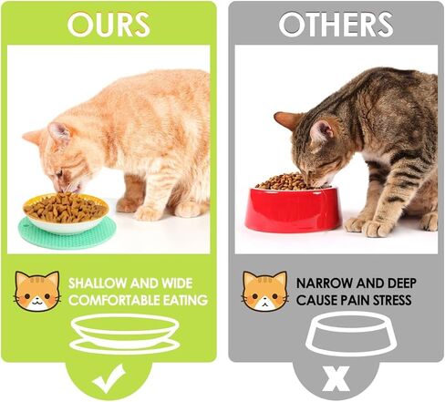 أوعية طعام القطط من السيراميك، أوعية القطط الصديقة للشعيرات مع قاعدة من السيليكون غير قابلة للانزلاق، أطباق طعام القطط للطعام والماء، أطباق طعام القطط، أطباق صغيرة ضحلة واسعة، للقطط والقطط والكلاب الصغيرة in Kuwait