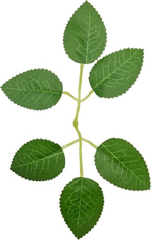 100 Pcs Artificial Green Leaves Rose Leaves Decoration,Bridal Wreath Decor,Wedding Party Birthday Proposal Decorations, Wreath Leaves/Green Leaves/Loose Leaves/Rose Leaves (green1) in Saudi Arabia