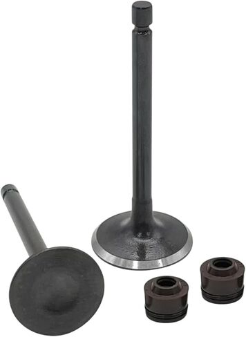 Engine Intake Valves Kit Replacement For Yamaha TTR125E 2003-2009 TTR125L 2000-2008 in Saudi Arabia