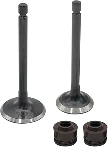 Engine Intake Valves Kit Replacement For Yamaha TTR125E 2003-2009 TTR125L 2000-2008 in Saudi Arabia
