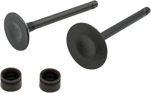 Engine Intake Valves Kit Replacement For Yamaha TTR125E 2003-2009 TTR125L 2000-2008 in Saudi Arabia