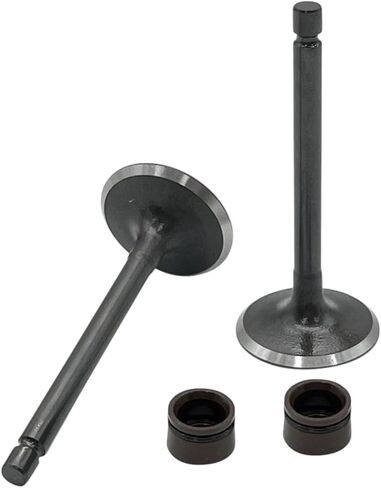 Engine Intake Valves Kit Replacement For Yamaha TTR125E 2003-2009 TTR125L 2000-2008 in Saudi Arabia