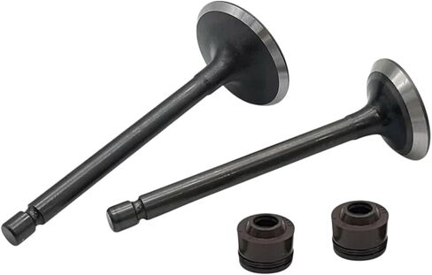 Engine Intake Valves Kit Replacement For Yamaha TTR125E 2003-2009 TTR125L 2000-2008 in Saudi Arabia