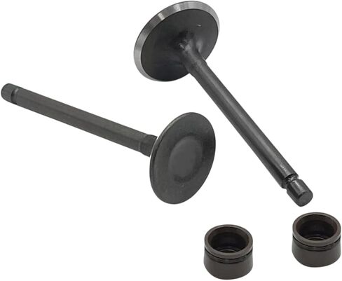 Engine Intake Valves Kit Replacement For Yamaha TTR125E 2003-2009 TTR125L 2000-2008 in Saudi Arabia