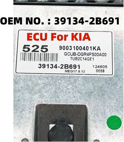 39134-2B691 391342B691 Car Engine Computer Board ECU Electronic Control Unit in Saudi Arabia
