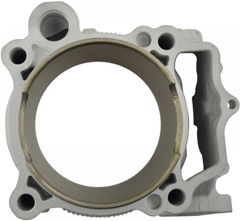 95mm Air Cylinder Compatible With YZ450F YFZ450 YFZ450R WR450F Engine Parts 2S2-11311-00-00 2S2-11311-10-00 2S2-11311-11-00 in Saudi Arabia