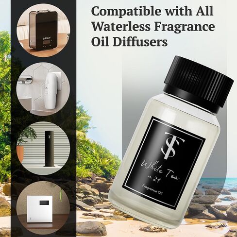 Baccarat Hotel Diffuser Oil Aromatherapy- Premiere Luxury Home Fragrance Essential Oil - Best Smelling Fragrance Oil Diffuser - 5 Star Hotel Scents for Home by Timeless Scenting - 30ml in Saudi Arabia