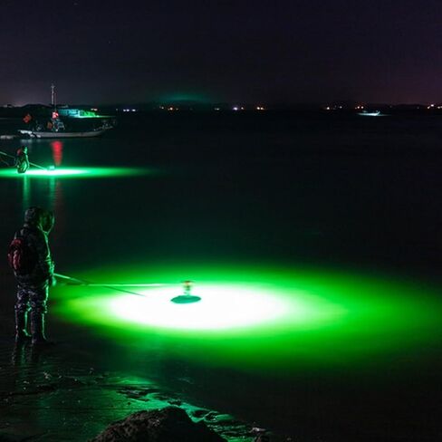LED Night Fishing Light 12V 20W 108 LEDs IP68 Underwater Fishing Light, 1300 Lumens Green Submersible Fish Attracting Light with 5M Power Cord in Kuwait