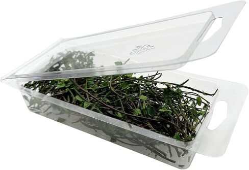 Woohome Model Scenery Leaf, 1 PCS Realistic Miniature Leaves Simulation Leaves with Tweezers for Train Landscape Railway Artificial Grass Modeling in Saudi Arabia