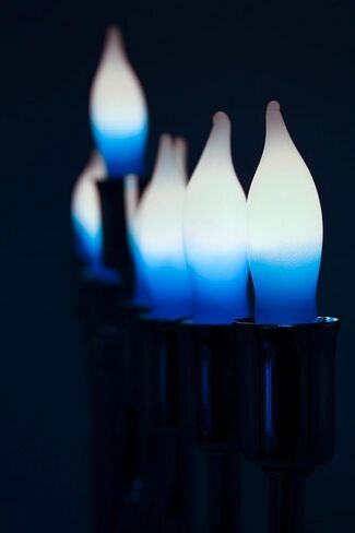 Menorah Bulbs Blue & White Electric Menorah Flame Shaped Replacement Bulbs (9-Pack),4 watts in Saudi Arabia