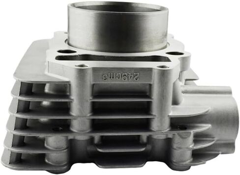 Motorcycle Engine Parts Cylinder Block Suitable For YBR250 YS250 XT250 1YB 1S4-11311-00-A0 in Saudi Arabia