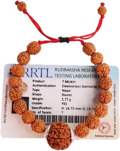 7 Mukhi Rudraksha Bracelet for Men and Women | Lakshmi Bracelet | Original Lab Certified Nepal Rudraksha Educating People About Rudraksha for Over 20 Years, M, Natural Product, No Gemstone in Saudi Arabia