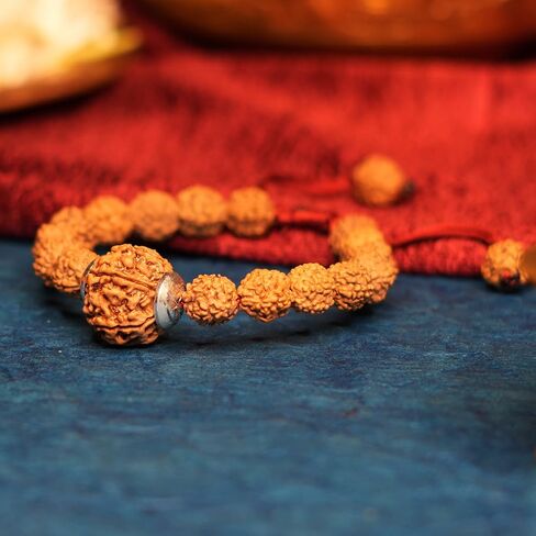 7 Mukhi Rudraksha Bracelet for Men and Women | Lakshmi Bracelet | Original Lab Certified Nepal Rudraksha Educating People About Rudraksha for Over 20 Years, M, Natural Product, No Gemstone in Saudi Arabia