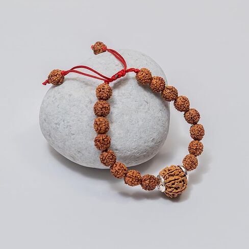 7 Mukhi Rudraksha Bracelet for Men and Women | Lakshmi Bracelet | Original Lab Certified Nepal Rudraksha Educating People About Rudraksha for Over 20 Years, M, Natural Product, No Gemstone in Saudi Arabia
