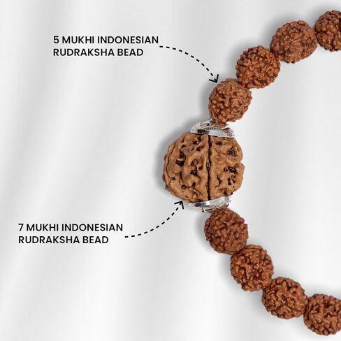 7 Mukhi Rudraksha Bracelet for Men and Women | Lakshmi Bracelet | Original Lab Certified Nepal Rudraksha Educating People About Rudraksha for Over 20 Years, M, Natural Product, No Gemstone in Saudi Arabia