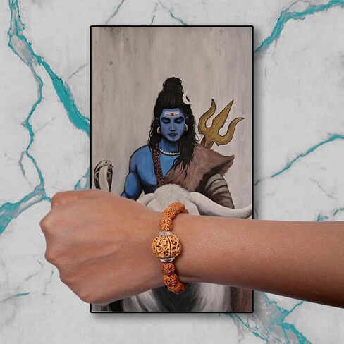 7 Mukhi Rudraksha Bracelet for Men and Women | Lakshmi Bracelet | Original Lab Certified Nepal Rudraksha Educating People About Rudraksha for Over 20 Years, M, Natural Product, No Gemstone in Saudi Arabia