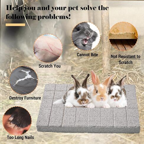 2 Pack Rabbit Grinding Claw Pads Bunny Scratch Foot Pad Natural Hamster Lava Grinding Teeth Stone Small Animal Scratching Pads Chew Toys for Chinchilla Rat Guinea Pig Hedgehog Ferret Gerbil in Saudi Arabia