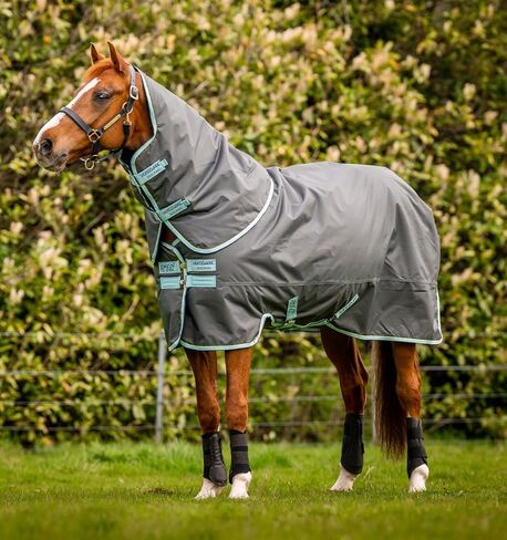 بطانية Horseware® Amigo® Hero Ripstop Plus Turnout Horse (200 جم متوسطة) in Kuwait