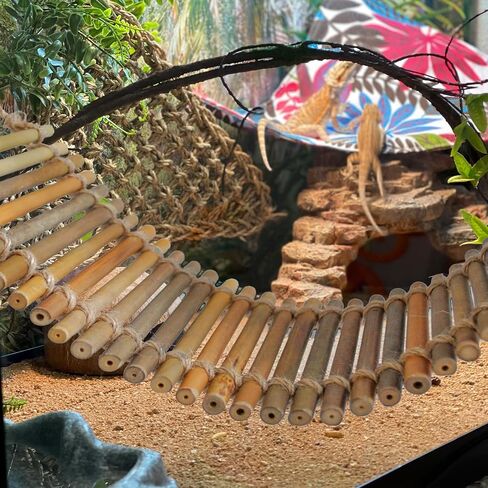 Reptile Climbing Bridge, Bamboo Lizard Ladder Bridge Bearded Dragon Hammock Lizard Lounger Hanging Terrarium Vines Decor Reptiles Habitat Tank Accessories for Gecko Chameleon(4PCS) in Saudi Arabia
