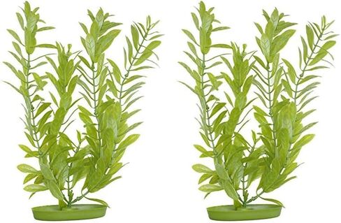 Marina Aquascaper Hygrophilia, 8-Inch, Medium in Kuwait