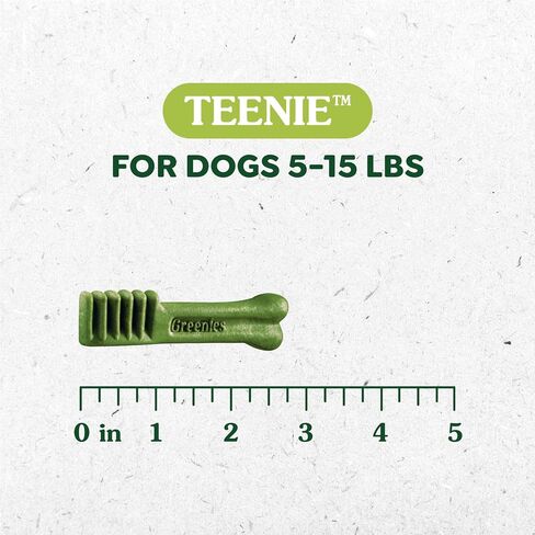 Greenies Gingerbread Flavor Teenie Size, Veterinarian-Recommended for Dental Care, Dog Treat Chews, Great Holiday Dog Stocking Stuffers, Limited Edition, 12 oz. Pack of 43 in Saudi Arabia