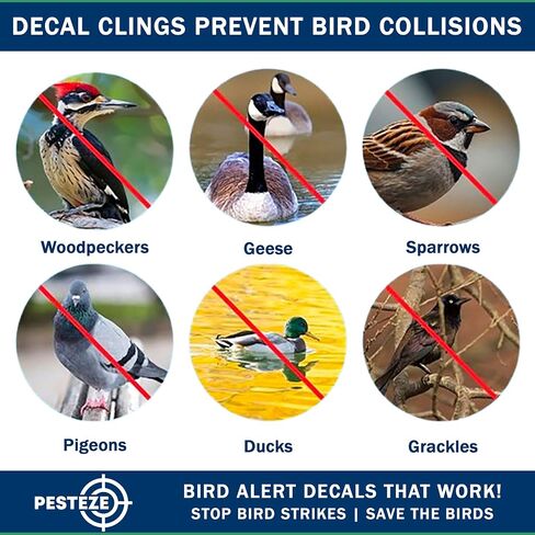 PESTEZE UV Reflective Bird Anti Collision Static Cling Decals for Windows to Prevent Wild Avian Strikes [16 Decals/4 Pages] Bird Alert Window Decal Saves Birds from Window Collisions & Help Them Soar in Saudi Arabia