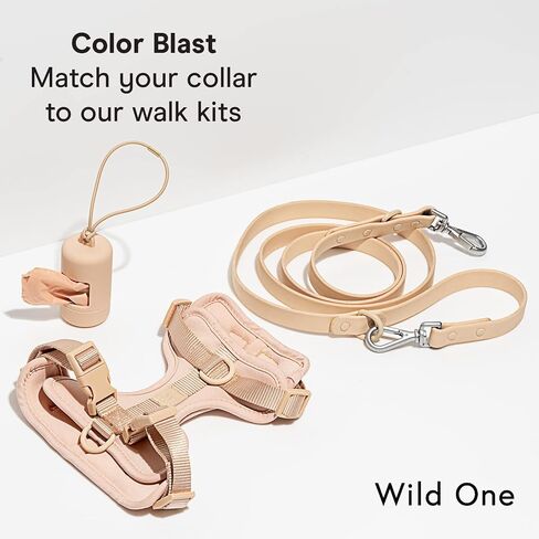 Wild One Collar - Medium - Lilac in Saudi Arabia
