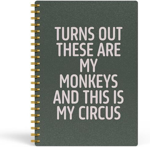 EKGJW Funny Notebooks for Work,Flesh Pink Aesthetic Journal, Funny Boss Day Gifts, Boss Gifts for Men Women, Funny Gifts for Boss, Boss Office Decor, Spiral Notebook 5.5x8.3 Inch（green） in Kuwait