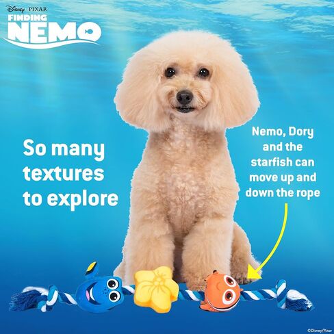 Pixar’s Finding Nemo Rope Toy for Dogs, Squeak and Crinkle | Disney Pixar Dog Toys | Dory & Nemo Fun Tug Style Dog Toy, 15 Inch in Saudi Arabia