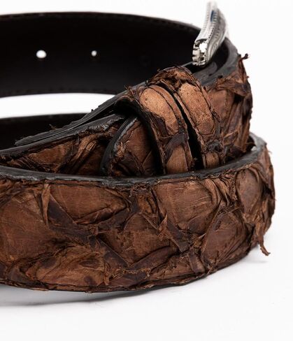 Cody James Men's Pirarucu Exotic Belt - Cjaho19bt6 in Saudi Arabia