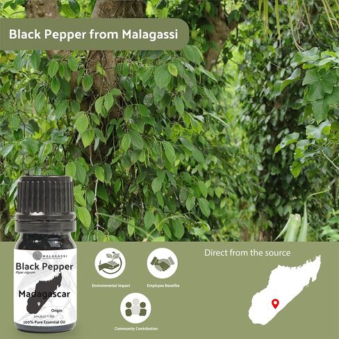 Black Pepper Essential Oil - Bulk Essential Oil Perfume - Pure Essential Oil for Aromatherapy and Oil Diffuser - Essential Oil Blends (8oz) in Kuwait