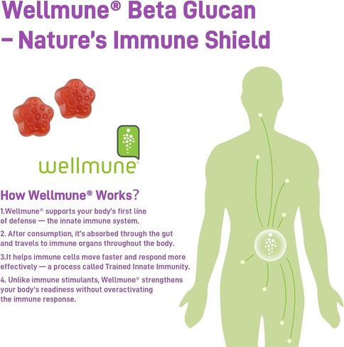 Ashwagandha Gummies ، KSM -66 Ashwagandha Root Extract مع فيتامين D3 ، دعم الإجهاد الدعم المناعي للبالغين - خالية من الكائنات المعدلة وراثيًا ، خالية من الغلوتين (Raspberry ، 60 Count) in Kuwait