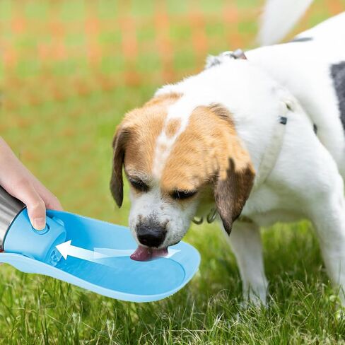 Dog Water Bottle, 27oz(750ml) Large Portable Dog Water Bottle, Dog Travel Water Bottle, Dog Water Bottle Dispenser, Stainless Steel Pet Travel Cup Outdoor Dog Water Bowl Bottle (Light Blue) in Kuwait