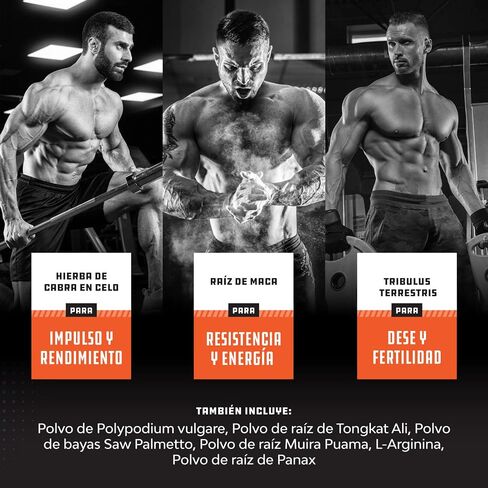 Aumento de Fuerza de Testosterona para Hombres – Suplemento Natural de Testosterona para Hombres con extracto de Hierba de Cabra en Celo, Raíz de Maca, Longjack y extracto de Saw Palmetto para el in Saudi Arabia