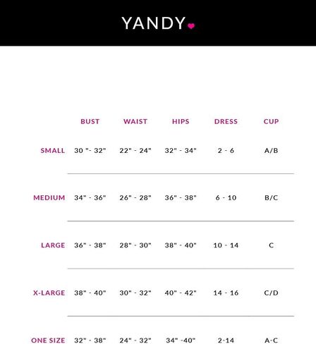 Yandy Elegant Caged In Bodysuit, Sheer Lace Bodice with Underwire Cups, Strappy Front and G String Cut Back in Kuwait