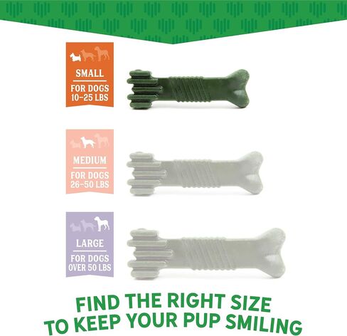 Medium Fresh Chews Dental Dog Treats, Clear, 16 OZ in Saudi Arabia