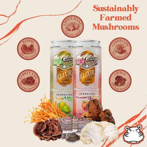 ارتفاع الأرض إكسير الفطر Seltzer - حزمة متنوعة | Lion’s Mane for Focus ، Reishi for Just ، Cordyceps ، Chaga ، Turkey Tail ، L-theanine | مشروب Adaptogen | منخفض كال ، لا يوجد سكر مضاف ، علب 12 أوقية in Kuwait