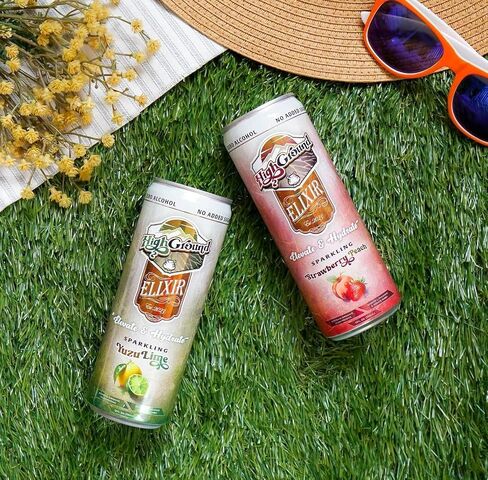 ارتفاع الأرض إكسير الفطر Seltzer - حزمة متنوعة | Lion’s Mane for Focus ، Reishi for Just ، Cordyceps ، Chaga ، Turkey Tail ، L-theanine | مشروب Adaptogen | منخفض كال ، لا يوجد سكر مضاف ، علب 12 أوقية in Kuwait