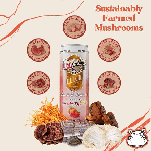ارتفاع الأرض إكسير الفطر Seltzer - حزمة متنوعة | Lion’s Mane for Focus ، Reishi for Just ، Cordyceps ، Chaga ، Turkey Tail ، L-theanine | مشروب Adaptogen | منخفض كال ، لا يوجد سكر مضاف ، علب 12 أوقية in Kuwait
