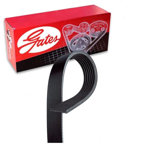 Gates ac Stretch Fit Micro-V Serpentine Belt متوافق مع Ford Focus 2.0L L4 2012-2014 in Saudi Arabia