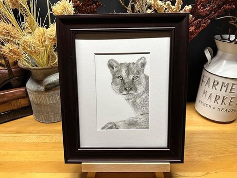 Mountain Lion Cougar Panther Nature Wildlife Graphite Pencil Art Sketch Drawing Print Picture Limited Edition ~ بعنوان "Wild Child" بقلم David Allen (8x10 إطار وطباعة) in Saudi Arabia