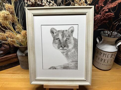 Mountain Lion Cougar Panther Nature Wildlife Graphite Pencil Art Sketch Drawing Print Picture Limited Edition ~ بعنوان "Wild Child" بقلم David Allen (8x10 إطار وطباعة) in Saudi Arabia