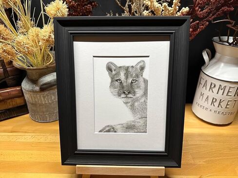 Mountain Lion Cougar Panther Nature Wildlife Graphite Pencil Art Sketch Drawing Print Picture Limited Edition ~ بعنوان "Wild Child" بقلم David Allen (8x10 إطار وطباعة) in Saudi Arabia