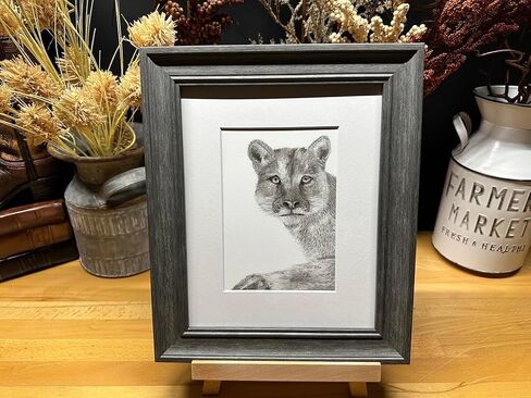 Mountain Lion Cougar Panther Nature Wildlife Graphite Pencil Art Sketch Drawing Print Picture Limited Edition ~ بعنوان "Wild Child" بقلم David Allen (8x10 إطار وطباعة) in Saudi Arabia