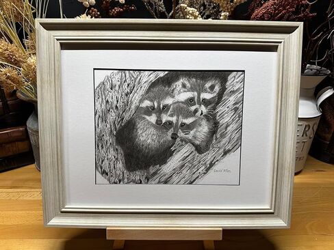 Raccoons Nature Wildlife Graphite Pencil Art Sketch رسم طباعة صورة محدودة الإصدار ~ بعنوان "Hideout Til Lights Out" بواسطة David Allen (8x10 Brown Frame & Print) in Saudi Arabia