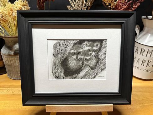 Raccoons Nature Wildlife Graphite Pencil Art Sketch رسم طباعة صورة محدودة الإصدار ~ بعنوان "Hideout Til Lights Out" بواسطة David Allen (8x10 Brown Frame & Print) in Saudi Arabia