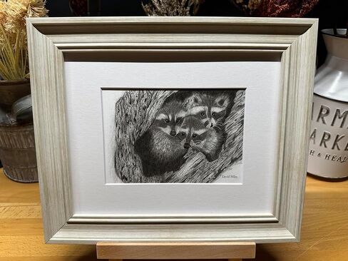 Raccoons Nature Wildlife Graphite Pencil Art Sketch رسم طباعة صورة محدودة الإصدار ~ بعنوان "Hideout Til Lights Out" بواسطة David Allen (8x10 Brown Frame & Print) in Saudi Arabia
