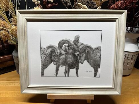 Rams Nature Wildlife Graphite Pencil Art Sketch Drawing Print Picture Limited Edition ~ Titled 'Family Strong' by David Allen (11x14 Brown Frame & Print) in Saudi Arabia