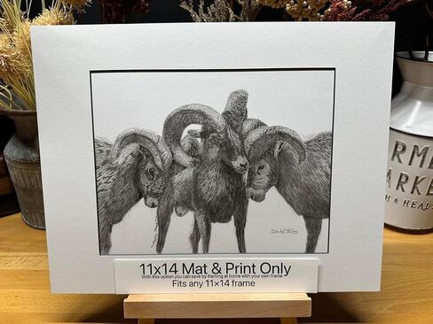 Rams Nature Wildlife Graphite Pencil Art Sketch Drawing Print Picture Limited Edition ~ Titled 'Family Strong' by David Allen (11x14 Brown Frame & Print) in Saudi Arabia